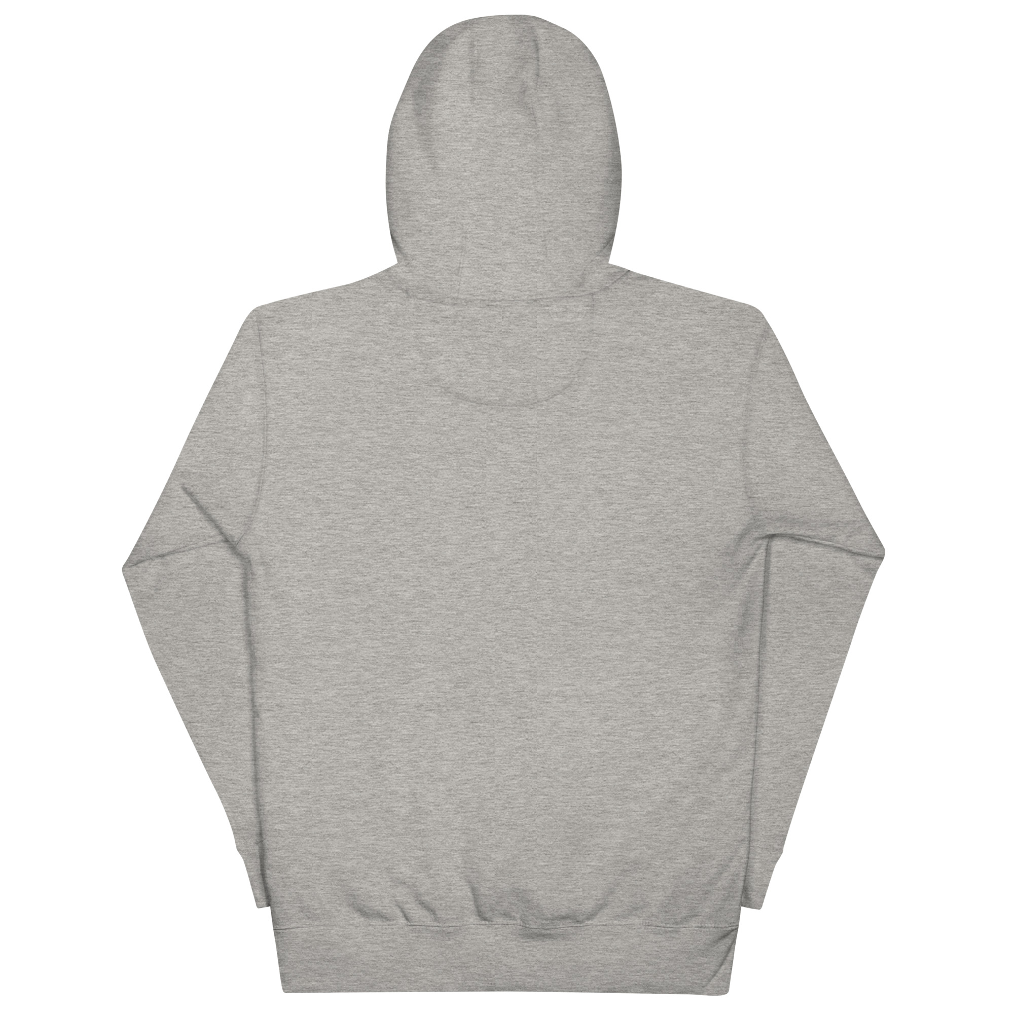 unisex-premium-hoodie-carbon-grey-back-67fa36ff1005f.jpg