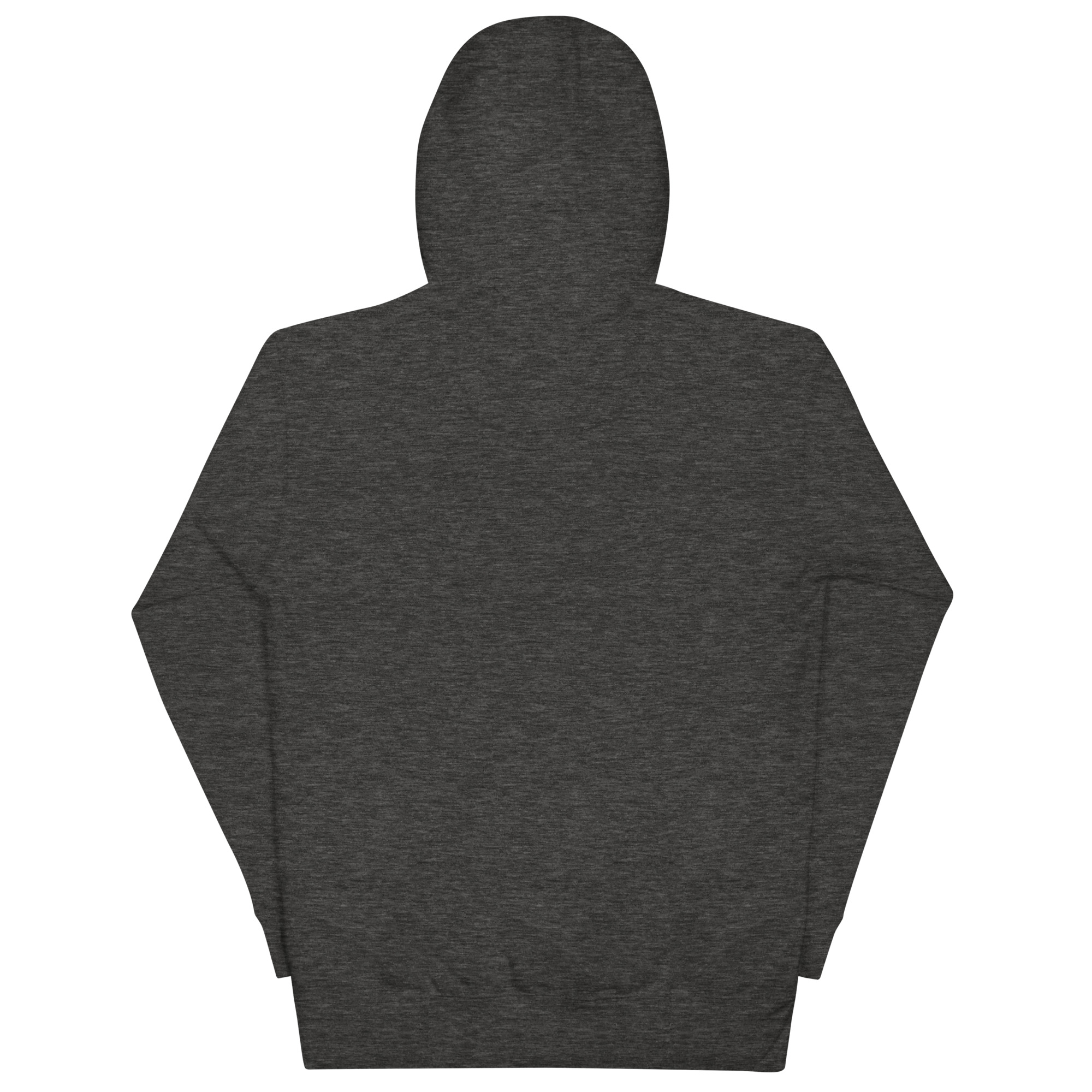 unisex-premium-hoodie-charcoal-heather-back-67fa36fe8b7ac.jpg