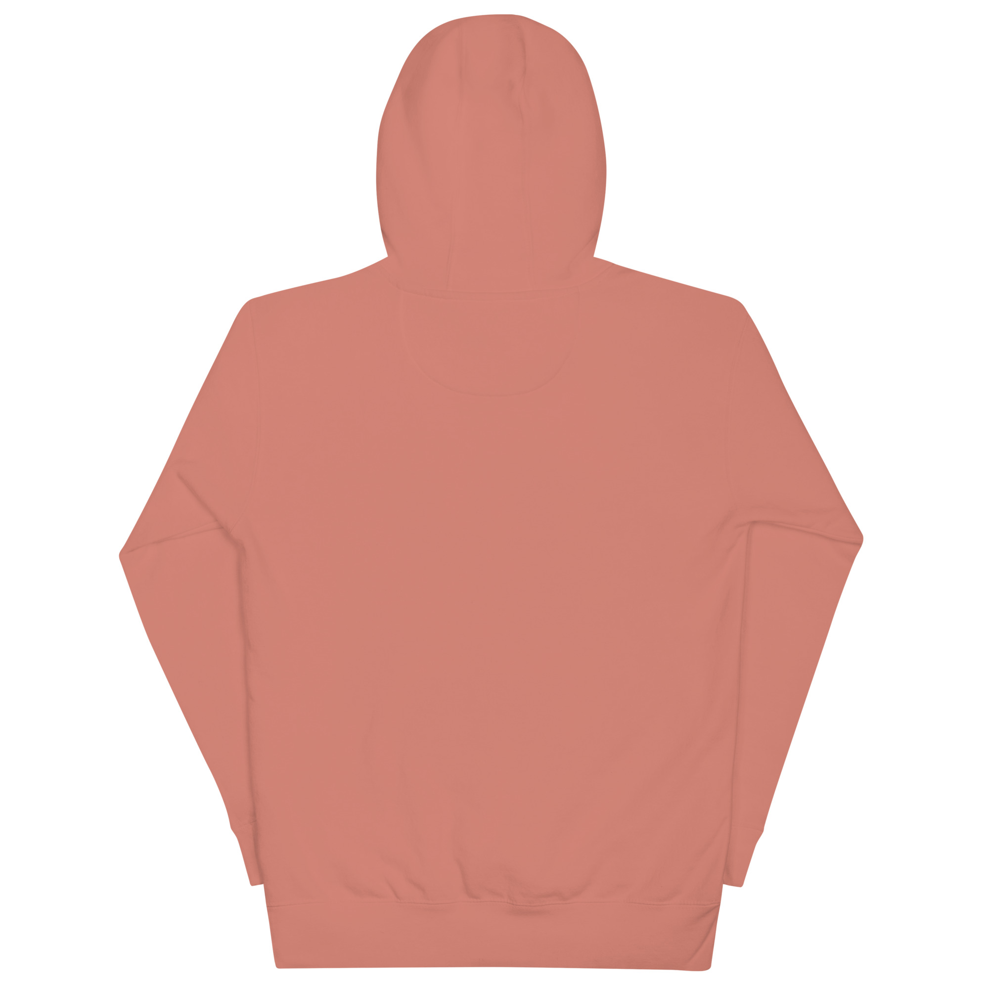 unisex-premium-hoodie-dusty-rose-back-67fa36feece7a.jpg