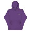 unisex-premium-hoodie-purple-front-67fa36fea090f.jpg