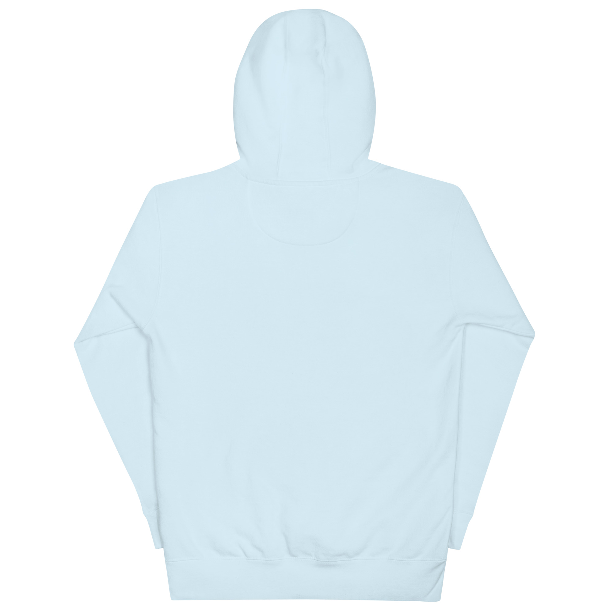 unisex-premium-hoodie-sky-blue-back-67fa3b50b4364.jpg