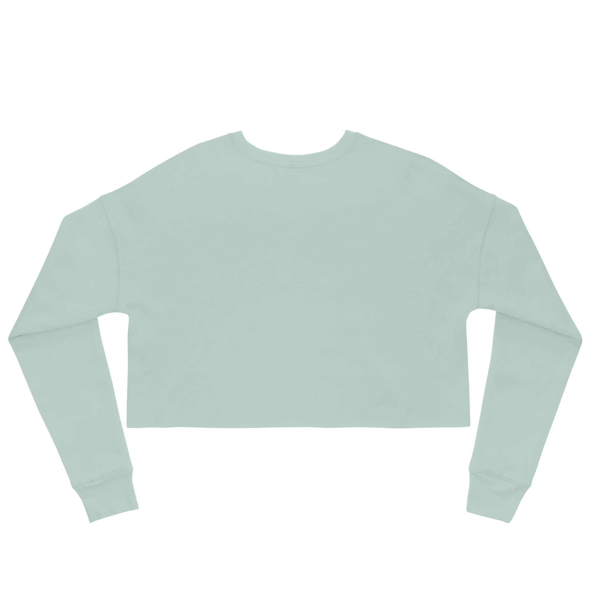 womens-cropped-sweatshirt-dusty-blue-back-67fa3398aa6c7.jpg